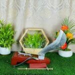{2in1} কম্বো প্যাক