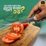 নিনজা ফ্রুট নাইফ