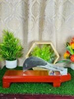 ইস্পাতের ফোল্ডিং ফ্লোর বটি [ ১১ইঞ্চি] - Image 2