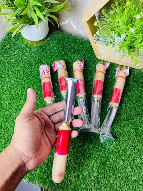 নারিকেল হাত কোরানী - Image 2