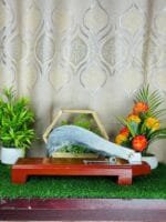 মহারাজা ১৩ইঞ্চি ফ্লোর বটি - Image 3